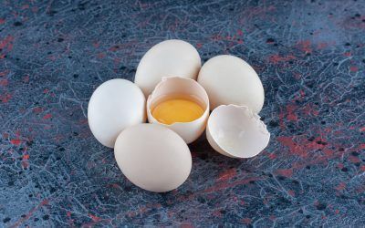 El Colegio de Ciencias Agrícolas de la Universidad de Pensilvania y los beneficios de los huevos de libre pastoreo